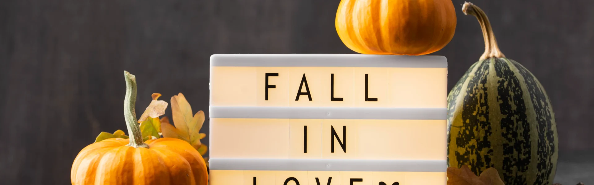 pumpkin patch captions